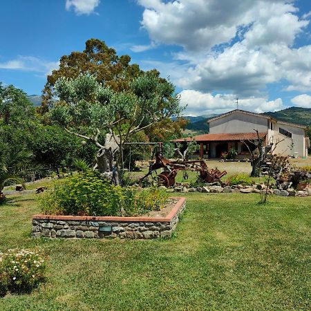 Azienda Agrituristica Verdevalle Cicerale Buitenkant foto